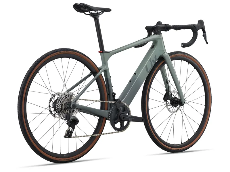 Ex-Demo-Avail Advanced E+ Elite AR 25km/H Eucalyptus/Blue Grey Small-4